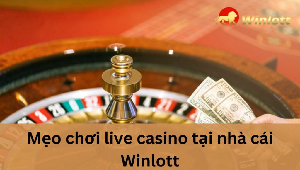 meo-choi-live-casino-tai-nha-cai-winlott