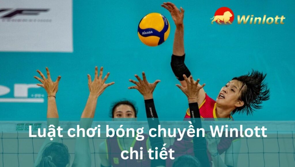 luat-choi-bong-chuyen-winlott-chi-tiet