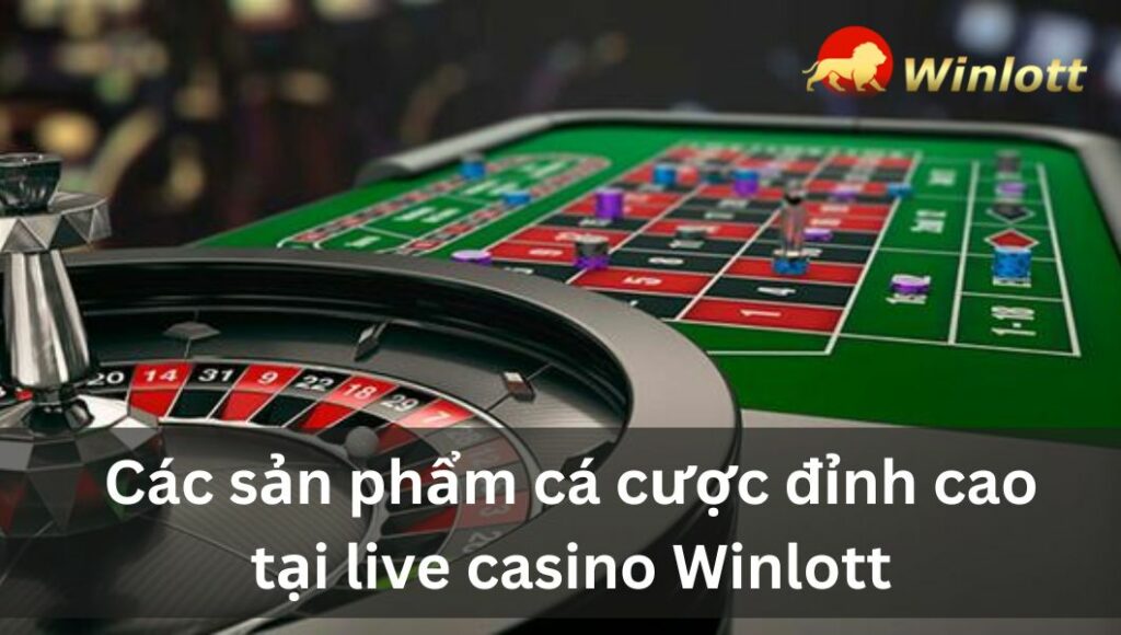 cac-san-pham-ca-cuoc-dinh-cao-tai-live-casino-winlott